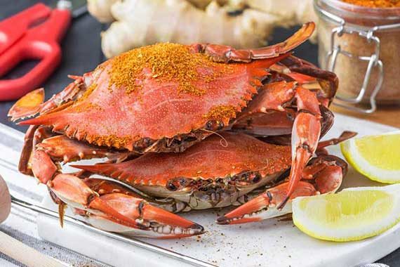 Cioppino